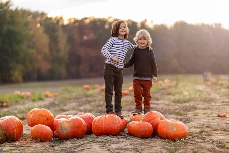 Two little boys having fun in a pumpkin patchの写真素材