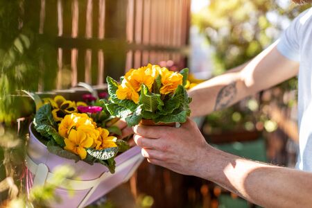 Young man taking care of his plants on the balconyの写真素材