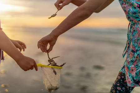 Siblings looking for shellfish during sunset, Netherlandsの写真素材