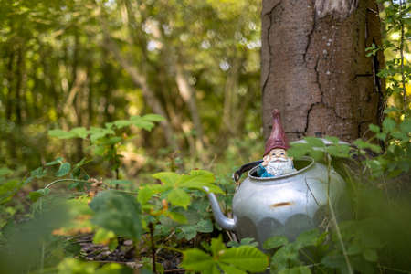 Garden gnome in the forestの写真素材
