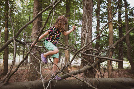 Girl climbs a tree in a forestの写真素材