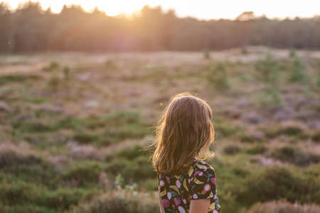 Little girl on a meadow full of heather at sunsetの写真素材