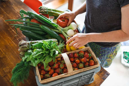 Woman unpacking her groceries in the kitchen at homeの写真素材