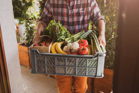 Man delivering fruit and vegetable boxの写真素材