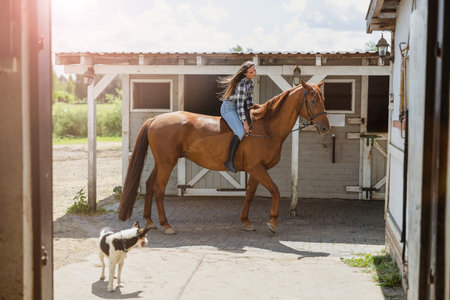 Woman riding on horseback in a farmの写真素材