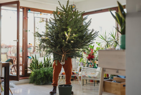 Man carrying a christmas tree in the living room at home.の写真素材
