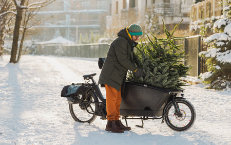 A man with a bicycle carries a Christmas tree in the snow.の写真素材