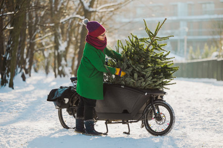 Woman transporting Christmas tree on cargo bikeの写真素材
