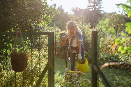 Woman working in her garden on a sunny day. Gardening concept