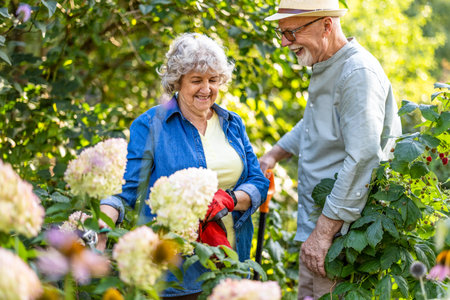 Senior couple working in the garden on a sunny day. They are smiling and looking at the camera.