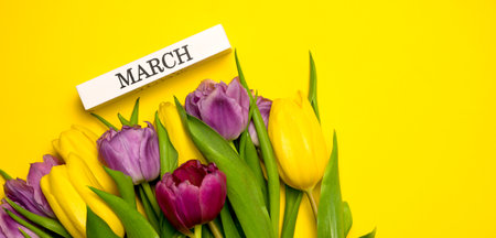 spring banner. A bunch of yellow, pink and purple tulips and march written on a wooden block....
