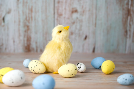 Easter greeting card with yellow chicken near the nest full of eggs.Colorful banner in white,yellow...