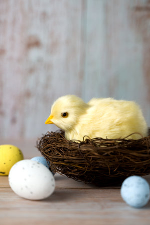 Easter greeting card with small chicken surrounded with eggs against blue background.Vertical banner