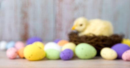 Easter banner with chicken in the nest surrounded with colorful eggs.Place for text.Defocused image