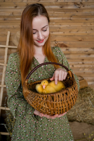 Closeup of a young woman holding basket with cute little ducks.Easter or farming concept.の写真素材