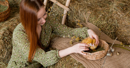 Closeup of a young woman holding basket with cute little ducks.Easter conceptの写真素材