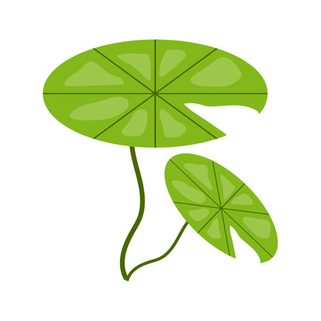 Hand-draw alocasia natural green leaf vector illustrationのイラスト素材