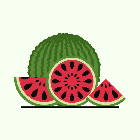colorful watermelon food vector illustrationのイラスト素材