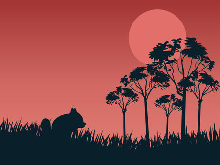 Rabbit eating grass at sunset time on silhouette backgroundのイラスト素材