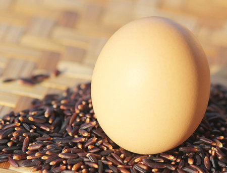 eggの写真素材