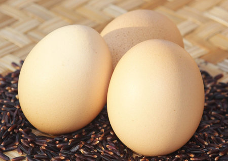 eggsの写真素材