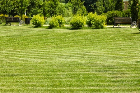 well-groomed summer park with paths and benchsの写真素材