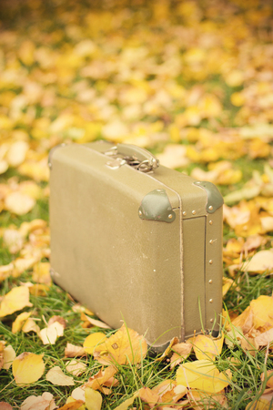 retro suitcase in park,on yellow autumn の写真素材