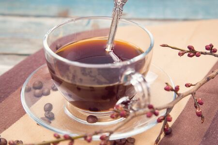 cup of coffee witn seeds of coffee and branch in studioの写真素材