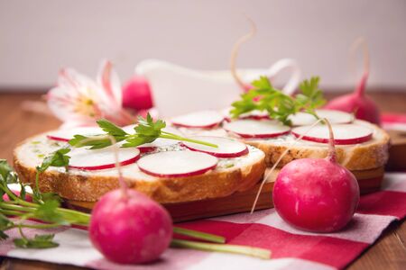 sandwich with radish, parsley and sauceの写真素材