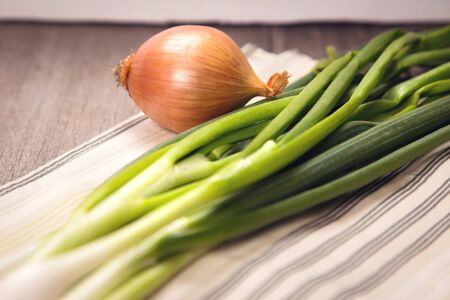 green fresh onion in studio on white textileの写真素材