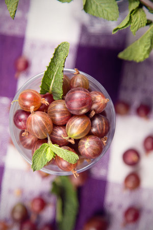 red fresh ripe gooseberry with a mint in crockery dishの写真素材