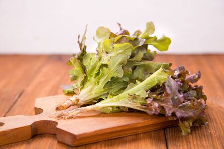 fresh leaves of lettuce on wooden plate in a studioの写真素材