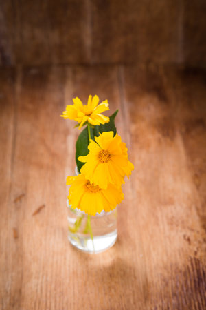 some beautiful yellow flowers in glass vase on wooden backgroundの写真素材