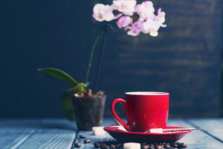 red cup of coffee with orchid flower in studioの写真素材