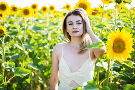 beautiful european girl in a white dress on nature with sunflowersの写真素材