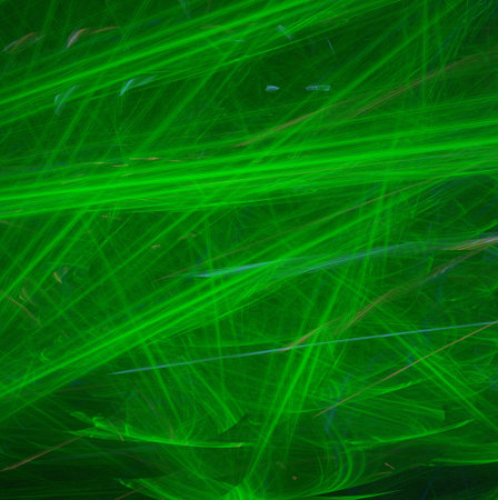 colored abstract round curves and lines on black background