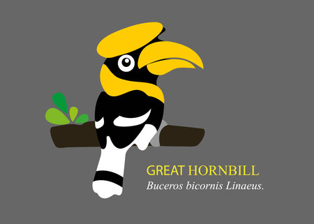 A vector cartoon great hornbill.のイラスト素材