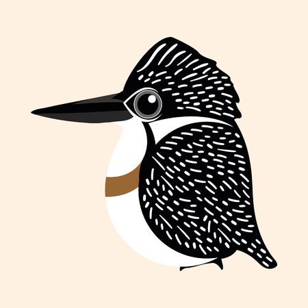 Kingfisher bird cartoon, Crested Kingfisher cartoon vector.のイラスト素材