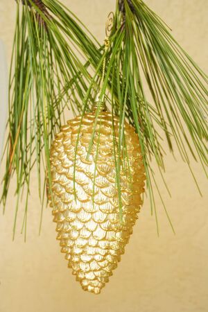 Golden Cone decoration holding from the pine tree.の写真素材