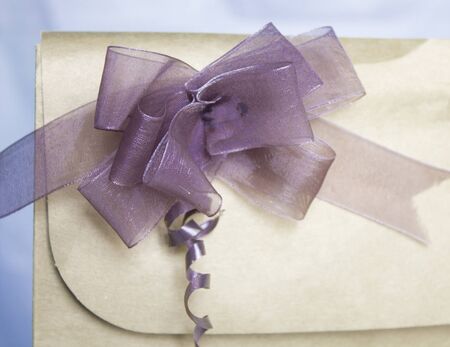 Mauve decorative ribbon in a paper bag with light blue background.の写真素材