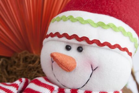 Christmas puppet with a carrot nose on a red background.の写真素材
