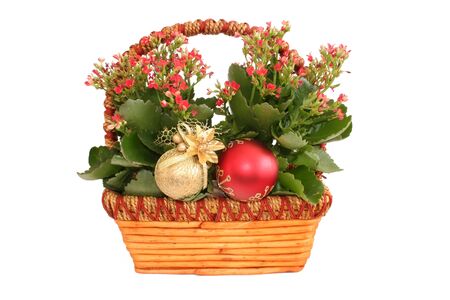 Beautiful plant detail in a basket with christmas decorations.の写真素材