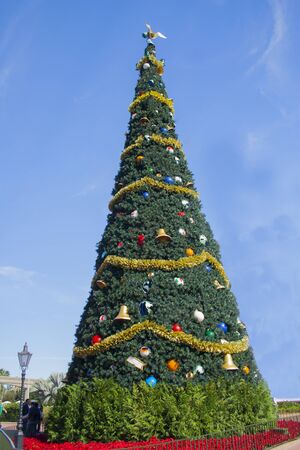 Nice chritmas tree in the promenade in a ovely day.の写真素材