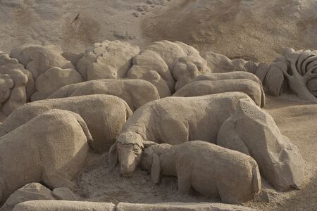 Baby sheep looking for the mother attention among the flock.の写真素材