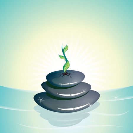  Tranquil scene with zen stones on water pool のイラスト素材