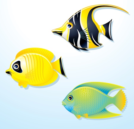 Set of Exotic Tropical Fish - vector illustrationのイラスト素材