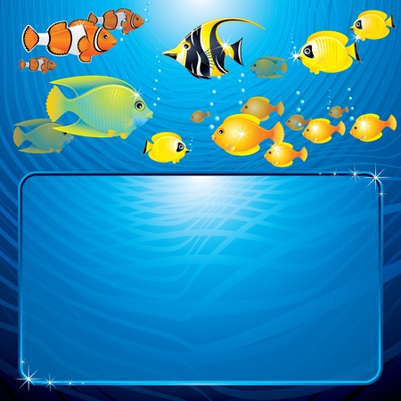 Sea Life scene with variety tropical Fishes and space for your text or designのイラスト素材