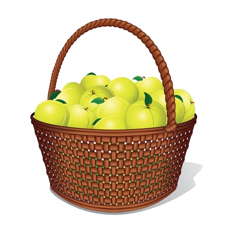 Juicy Sweet Apples in Woven Basket  Vector Illustrationのイラスト素材