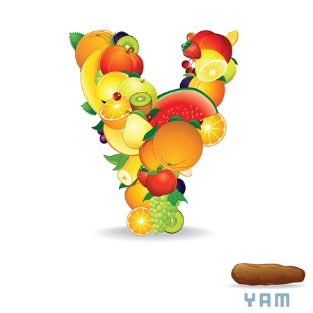 Alphabet From Fruit  Letter Yの写真素材