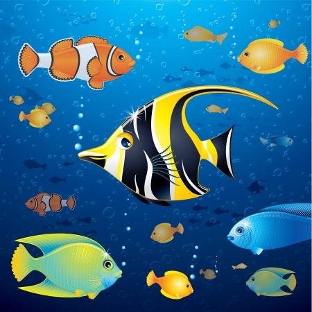 Underwater Background with Colorful Tropical Fishの写真素材